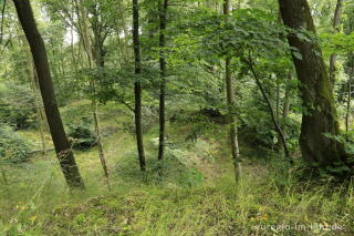 Historisches Abbaugebiet von Schlacke auf dem Karmelenberg, Vulkaneifel