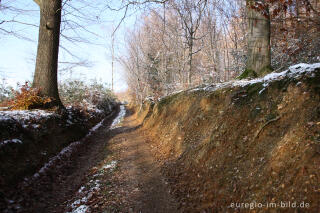 Hohlweg im Schimperbos, westlich von Gemmenich, B