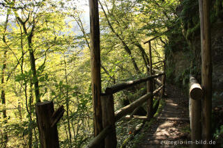 Holzsteg auf dem Lieserpfad / Eifelsteig, südlich von Manderscheid