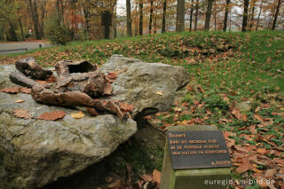 Hügelgrab mit Denkmal, Vijlenerbos