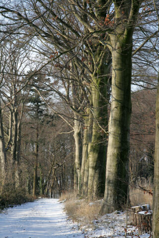 Im Gasser Feld bei Aachen