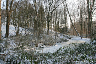 Im Gasser Feld bei Aachen