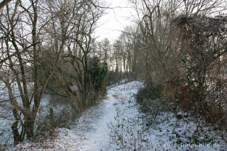 Im Gasser Feld bei Aachen