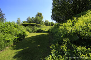 Im Heilkräutergarten Herba Sana in Elsenborn bei Bütgenbach