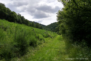 Im mittleren Ourtal zwischen Dasburg und Tintesmühle