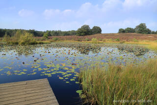 Im Naturpark "De Meinweg"