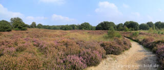 Im Naturpark "De Meinweg"