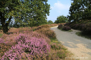 Im Naturpark "De Meinweg"