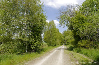 Im Naturschutzgebiet der Emmels, nördlich von St. Vith