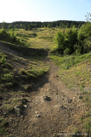 Im Naturschutzgebiet Schlangenberg, zwischen Breinig und Vicht