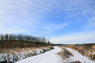 Im südlichen Teil des Brackvenns