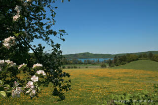 Im Vulkanpark Brohltal bei Maria Laach