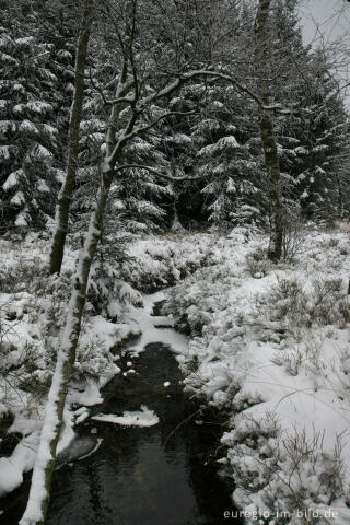 Imgenbroicher Venn im Winter