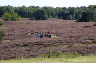 In der Brunssumerheide