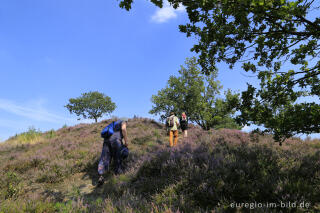 In der Brunssumerheide