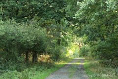 In der Schavener Heide