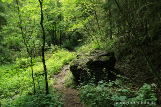 In der Schönecker Schweiz