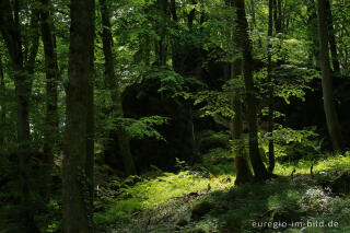 In der Schönecker Schweiz