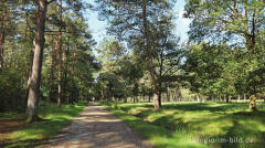 In der Teverener Heide