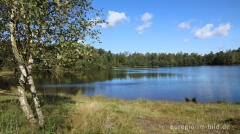 In der Teverener Heide