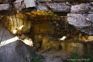 Innenansicht einer Bunkerruine im Todtenbruch, Hürtgenwald