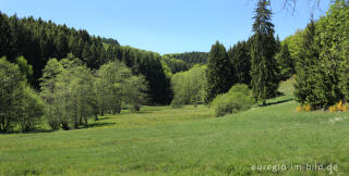 Irsental zwischen Reipeldingen und Eschfeld