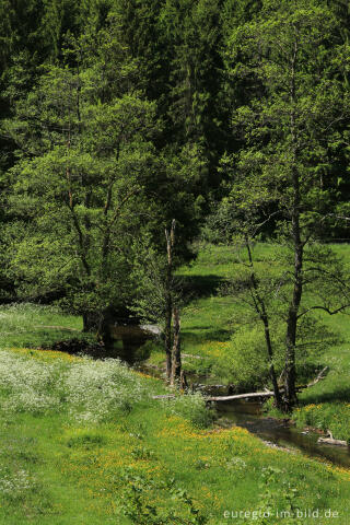 Irsental zwischen Reipeldingen und Eschfeld