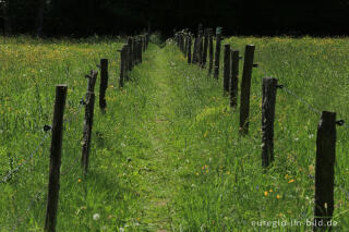 Irsental zwischen Reipeldingen und Eschfeld