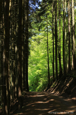 Irsental zwischen Reipeldingen und Eschfeld