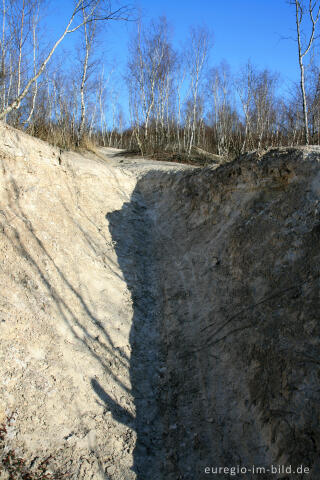 Kalkberg im Wurmtal bei Würselen