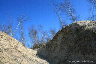 Kalkberg im Wurmtal bei Würselen