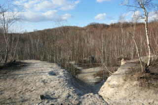 Kalkberg im Wurmtal bei Würselen