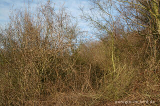 Kleine Wildnis, Aachen-Schmithof