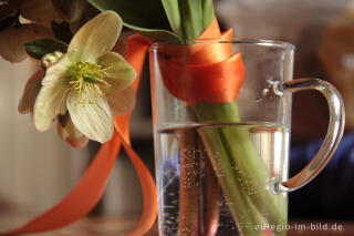 Kleiner Blumenstrauß mit Christrosen 