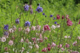 Kleiner, öffentlich zugänglicher Garten in Haßfurt am Main