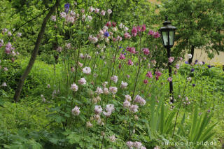 Kleiner, öffentlich zugänglicher Garten in Haßfurt am Main