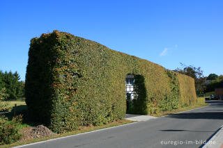 Konzen, Fachwerkhaus mit Hecke