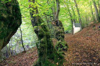 Kreuzweg von Heimbach nach Mariawld