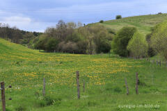 Landschaft beim Matronenheiligtum von Nettersheim