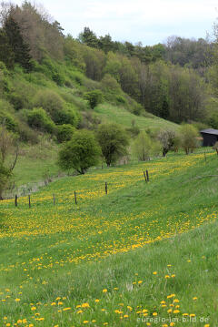 Landschaft beim Matronenheiligtum von Nettersheim