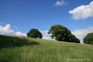 Landschaft beim Weißen Weg, Buschweg, Herzogenrath - Berensberg