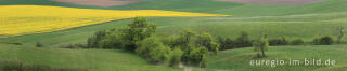 Landschaft im Bitburger Gutland