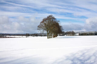 Landschaft südwestlich von Simmerath