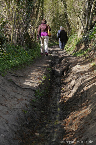 Mameliser Mühlenweg, Grenzroute 7, Aachen-Orsbach