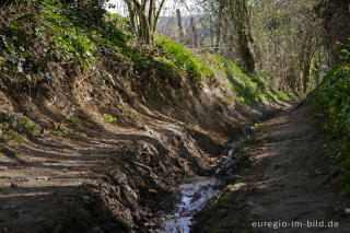 Mameliser Mühlenweg, Grenzroute 7 bei Aachen-Orsbach