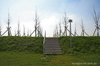 Maulbeerhügel mit Treppe, Weißer Weg