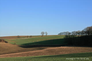 Mergelland bei Gulpen