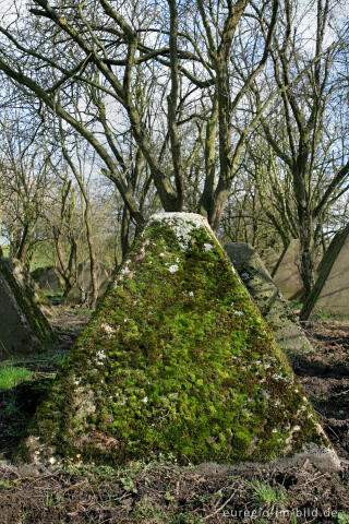 moosbewachsener Drachenzahn, Westwall 