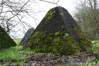 moosbewachsener Drachenzahn, Westwall