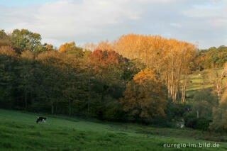 Morgenstimmung im Wurmtal bei Herzogenrath-Straß